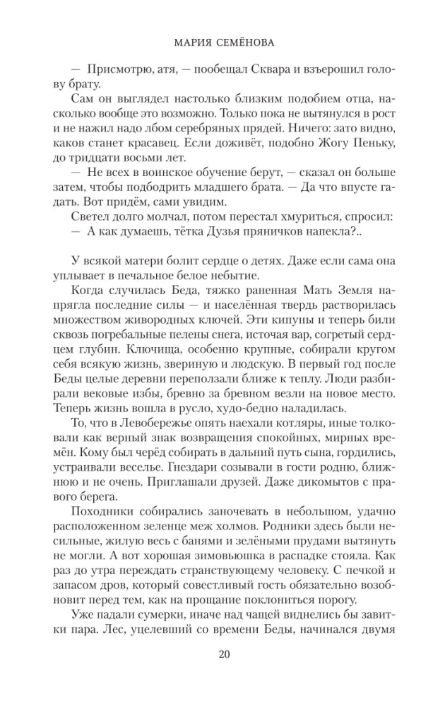 Братья. Книга 1. Тайный воин